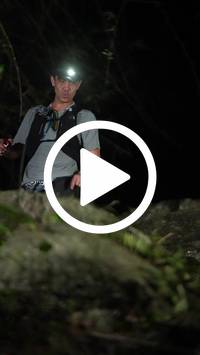 BIB:  <button type="button" onclick="openModal(27921478)" class="btn btn-primary btn-sm float-right" data-toggle="modal" data-target=".modal-high-quality">
                <i class="fa fa-download"></i> Download
                </button>